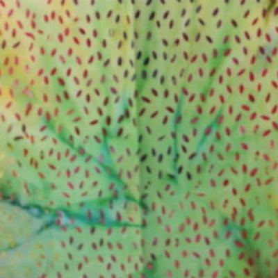 Ketangreen